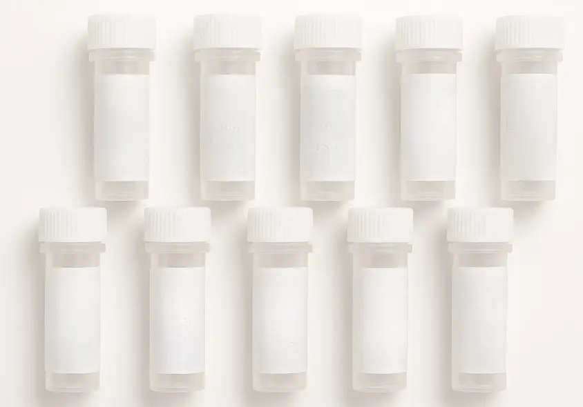 BIRC2 293T Cell Transient Overexpression Lysate(Denatured)