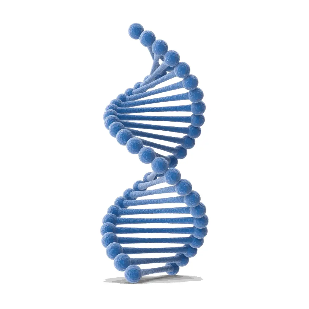  DirectPCR Lysis Reagent (Ear) - 50 mL