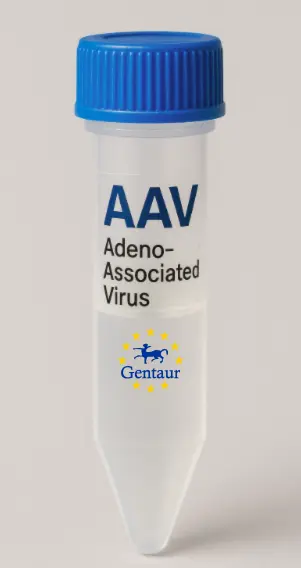 LMO2 AAV Vector (Mouse) (CMV)