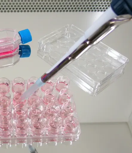 [EL10061] Human CA19-9 ELISA Kit