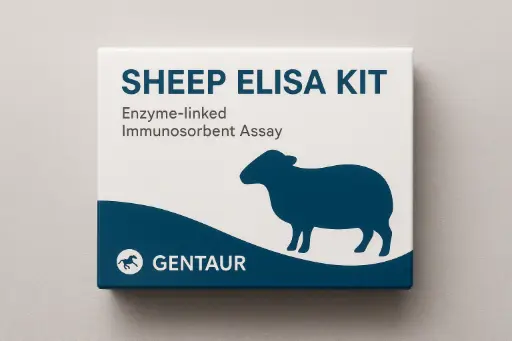 [kits-sk1109] Sheep 5METHF ELISA Kit