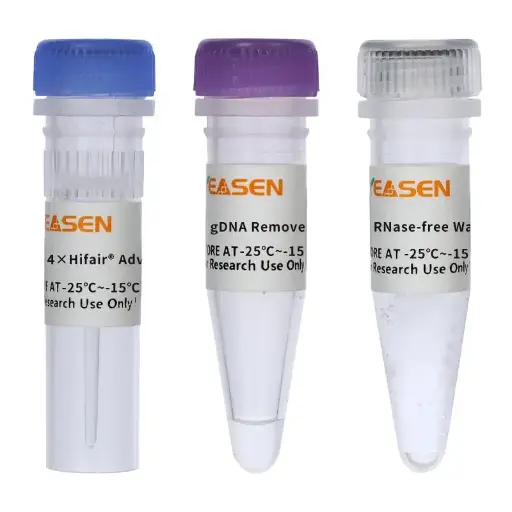 [11151ES10] Hifair™ AdvanceFast One-step RT-gDNA Digestion SuperMix for qPCR - 10 Tests